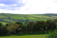 View from Toad Hall